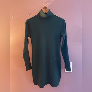 Wild Fable Turtleneck Dress